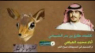 محمد العيافي شبيه الريم 