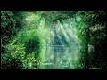ALUNA - Solfeggio Soundhealing 396 Hz (release Fear and calm down the Nervous System)