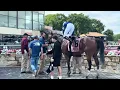 The veteran 9 yr old gelding Ahsad wins an impressive 19x in Monday s 7th at Parx Racing