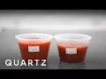 Inside the Consumer Reports test lab