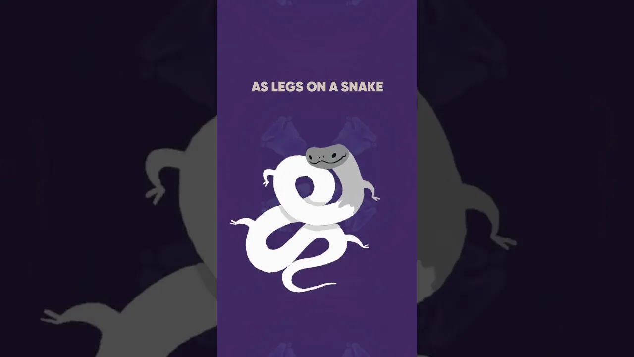 Intro | Das Leben als Jude in Deutschland