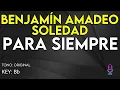 Benjamín Amadeo & Soledad - Para Siempre - Karaoke Instrumental