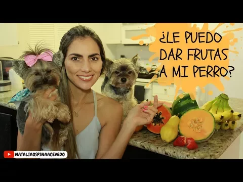 Download MP3 ¿Le puedo dar frutas a mi perro? - Tips by Natalia Ospina