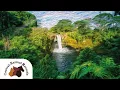 The Rainbow Bridge Poem - Central Animal Records