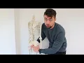 Download Lagu Osteopathie tegen bil- of heupspierpijn: Direct resultaat door OsteoDirect!