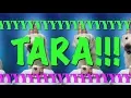 Download Lagu HAPPY BIRTHDAY TARA! - EPIC Happy Birthday Song