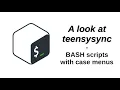 A look at teensysync BASH scripts with case menus