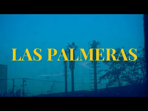 Las Palmeras (Documental Niños del Cerro)