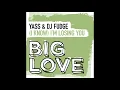 Yass & DJ Fudge - (I Know) I’m Losing You (Extended Mix)