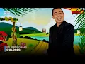 Download Lagu Wilbert Pigmans - Dolores