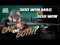 300 Win Mag vs 308 Win - Do you need one or BOTH