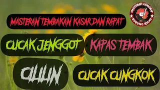 Download Masteran Ampuh Isian Kasar Speed Rapat Cucak Jenggot Cililin Kapas Tembak Cucak Cungkok MP3