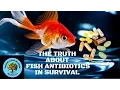 The Truth About Fish Antibiotics in Survival