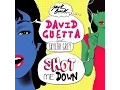 Lagu David Guetta - Shot Me Down (feat. Skylar Grey)