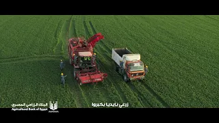 مدد مدد مدد الخير هيجي يا بلد دندنها
