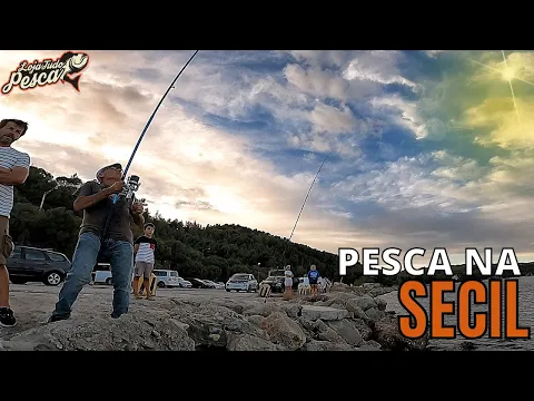 PESCA NA SECIL (SETÚBAL) -  MONTAGE