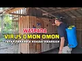 Download Lagu WASPADA VIRUS OMON OMON ,TETAP TENANG, KUASAI KEADAAN.