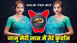 janu meri jaan dj song halgi pad mix hindi dj song dj dipak ad