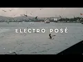 Joy Anonymous - Joy (Seabirds)