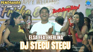 dj stecu stecu ii elsa ft herlina ii acara pernikahan frisko u0026 desfri ii desa pendahara