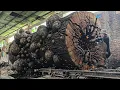 Download Lagu Horrifying Incident ‼ Stone Trembesi Wood Monster Attacks on Giant Sawmill Table