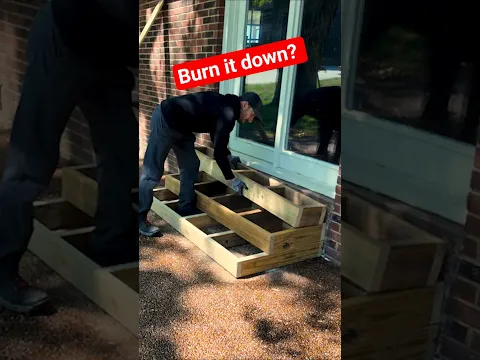How fast you burning it down? 🐜 🔥