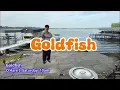 Goldfish - WCLDM 2026