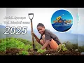 Download Lagu Apee apee. Lagu Sedih 😌 MIAMI Lege Musik lokal Wamena Papua pegunungan pugima gunung terbaru 2025