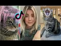 Penny the talking cat Penny needs some attention aymieandgracie tiktok