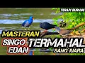 Download Lagu TERAPI UNTUK SEMUA JENIS BURUNG , SUARA GEMRICIK AIR , MASTERAN TERMAHAL SANG JUARA SINGO EDAN