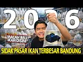Lagu NIAT SIDAK PASAR IKAN TERBESAR DI BANDUNG 2026 MALAH KHILAF BELI IKAN! AKHIRNYA MAIN KESINI LAGI!