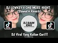 Download Lagu DJ LOWKEY X ONE MORE NIGHT BOOTLEG SLOWED REMIX VIRAL TIKTOK 2024