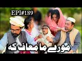 Download Lagu More Ma Maaf Ka ll Khpala Weena Drama Episode 189 By Charsadda Vines Director SadiqKhan 2025 