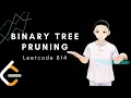 Leetcode 814 - Binary Tree Pruning JAVA Solution Explain
