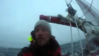 Unfortunate collision with Whale