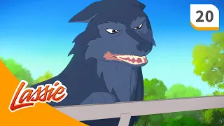Lassie Season 2 Episode 20 Déjà Vu FULL EPISODE  Lassie Season 2 Episode 20 Déjà Vu FULL EPISODE