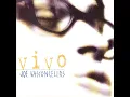 Huellas (Live From Santiago,Chile/1999) - Joe Vasconcellos