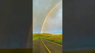 ماهر زين هو احمد ومحمد بدون موسيقى 