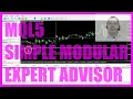 MQL5 TUTORIAL ENGLISH - SIMPLE MODULAR EXPERT ADVISOR
