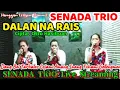 Download Lagu SENADA TRIO - Cover Lagu Batak Hits \