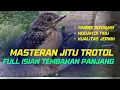 Download Lagu Masteran Murai Batu Trotol Full Tembakan Panjang, Jernih dengan Jeda