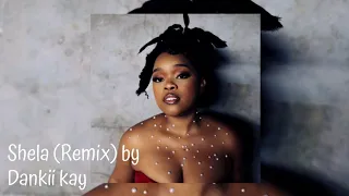 shela dankii kays gqom remake 