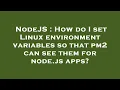 NodeJS How do I set Linux environment variables so that pm2 can see them for node js apps