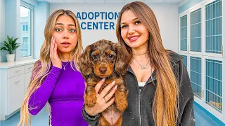 MY BEST FRIEND ADOPTED A PUPPY