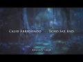 Download Lagu Caleb Arredondo - Echo Sax End {slowed + reverb}