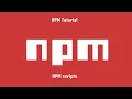 npm custom script define and run custom scripts in your package json file