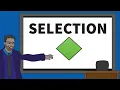 Selection Decision Making in Flowcharts GCSE COMPUTER SCIENCE