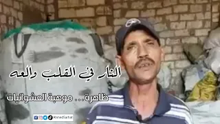 معجزة الجينات المصرية بتقدر تخلق من الفسيخ شربات    دندنها