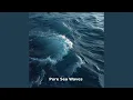 Clean Ocean Loop Pt 10