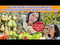 Download Lagu Metik Buah Buahan Di Villa Lansung Makan Sampai Kenyang